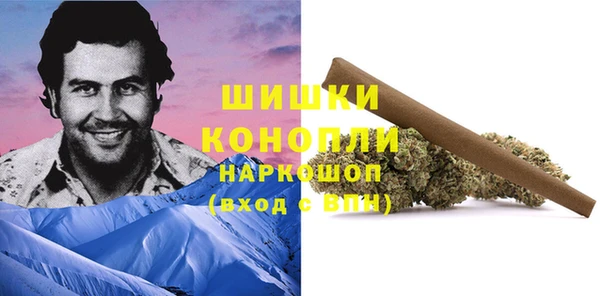 гашик Балахна