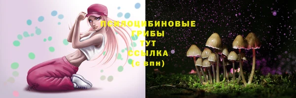 гашик Балахна