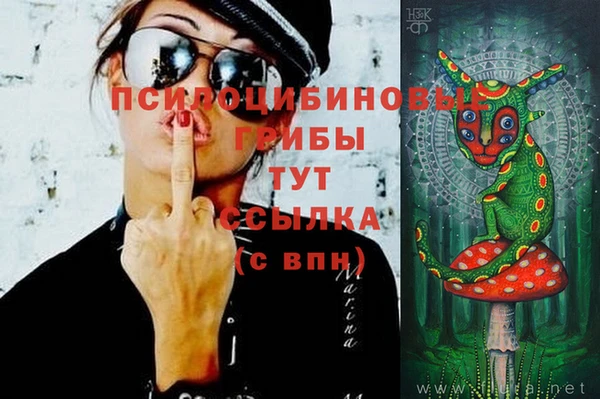 гашик Балахна