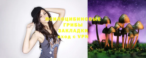 гашик Балахна