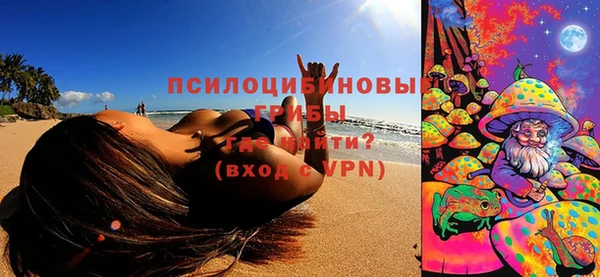 ГАЛЛЮЦИНОГЕННЫЕ ГРИБЫ Балабаново