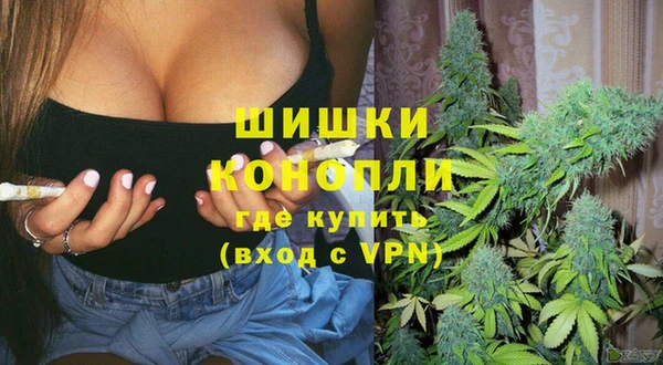 ГАЛЛЮЦИНОГЕННЫЕ ГРИБЫ Балабаново