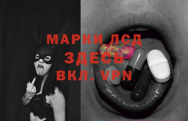 ГАЛЛЮЦИНОГЕННЫЕ ГРИБЫ Балабаново
